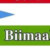ismaciil.axmed.ma