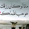 tareq.mahmued