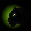 catweb