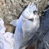 alexpedrochekiara