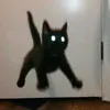 vr0omisx