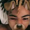 xiaaqvi