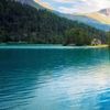 shamalahmad429