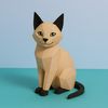 _ecocat_