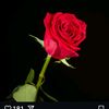 yaren_yaren_deniz