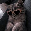 aisha.._._