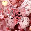 a.sur.rahman