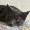 mr07u1