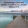 juliocesar07062