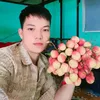 triuph22
