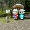 suimulierfortis