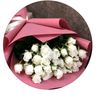 user7790210295138