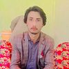 najibjani6523