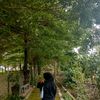 ansya076