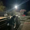 tziaf_7