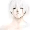 norton_x_dcp
