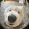 momayspaypointser
