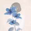 bj_1li