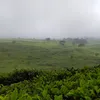 ahmadpasaribu65