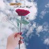 roro.ahmet2