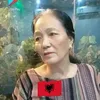 phamnguyt46