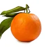 aranciacasual