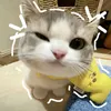 mon_ne_633