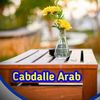user8419973475460