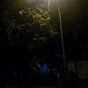 Vibesmalam