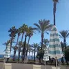 ellejay485