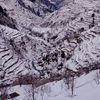 gulzarkhan8470