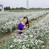 nguynoanh913