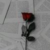 rahimsmallpoet