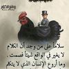 user9111319986845