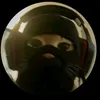 gatito_barrera502
