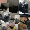 sasha_27926
