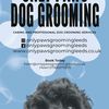 onlypawsgroomingleeds