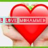 user8419449844286