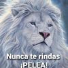 raulgranizo0