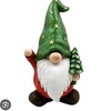 gnome_027