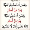 ha1ithem