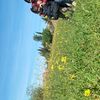 noualjir
