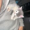 justin_o7