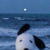 judith_hdez17