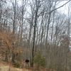 jschainsaw5