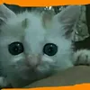 ismailgjk5