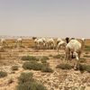 qht505najd