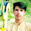 ayaz.ahmad74