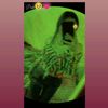 liceth_593