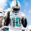 _dolphins10